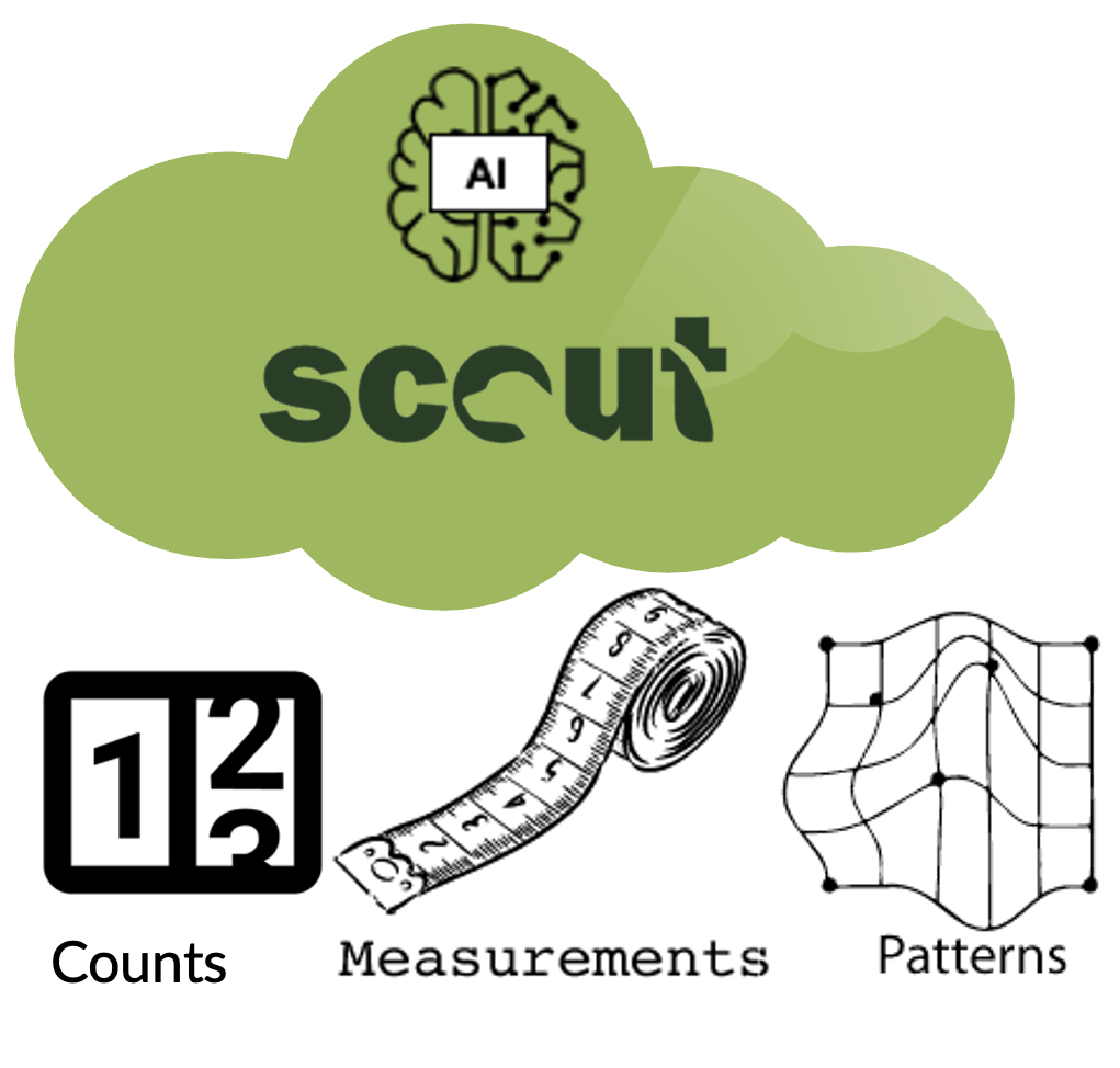 Scout AMP cloud AI analysis for vineyard data